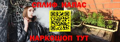 a pvp Бийск