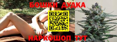 a pvp Бийск