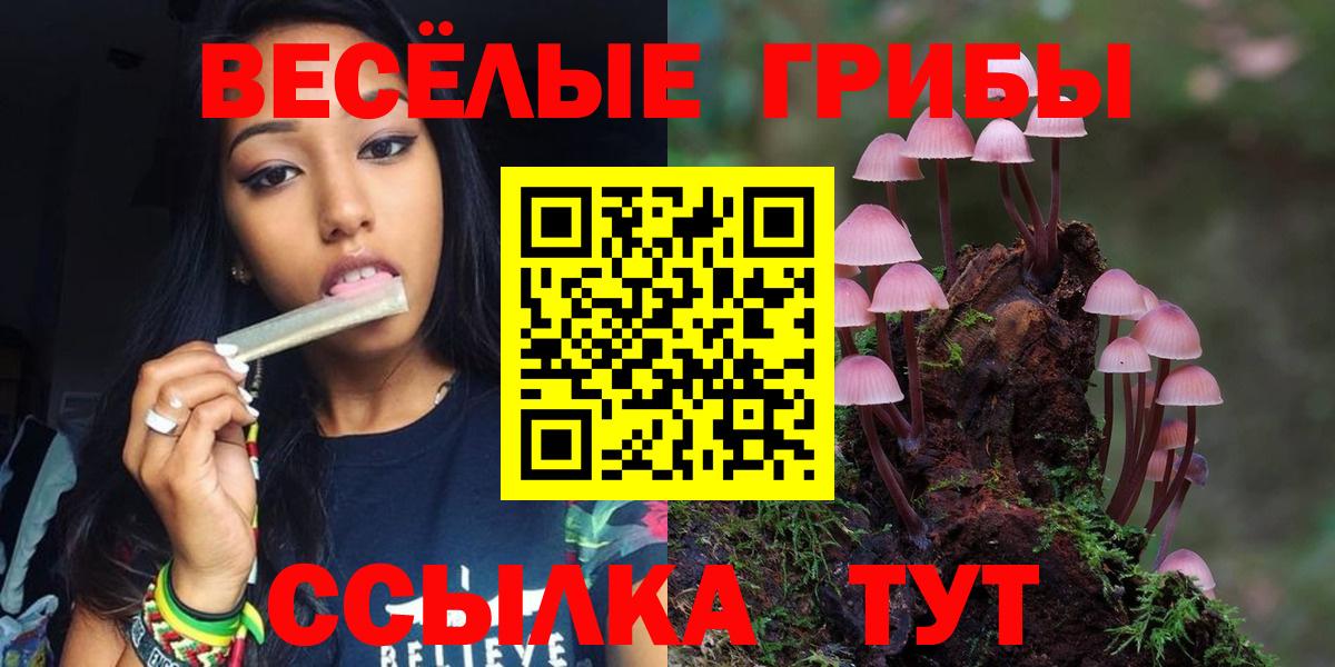 Зеленокумск  где найти наркотики  Вход с VPN  Галлюциногенные грибы Magic Shrooms 